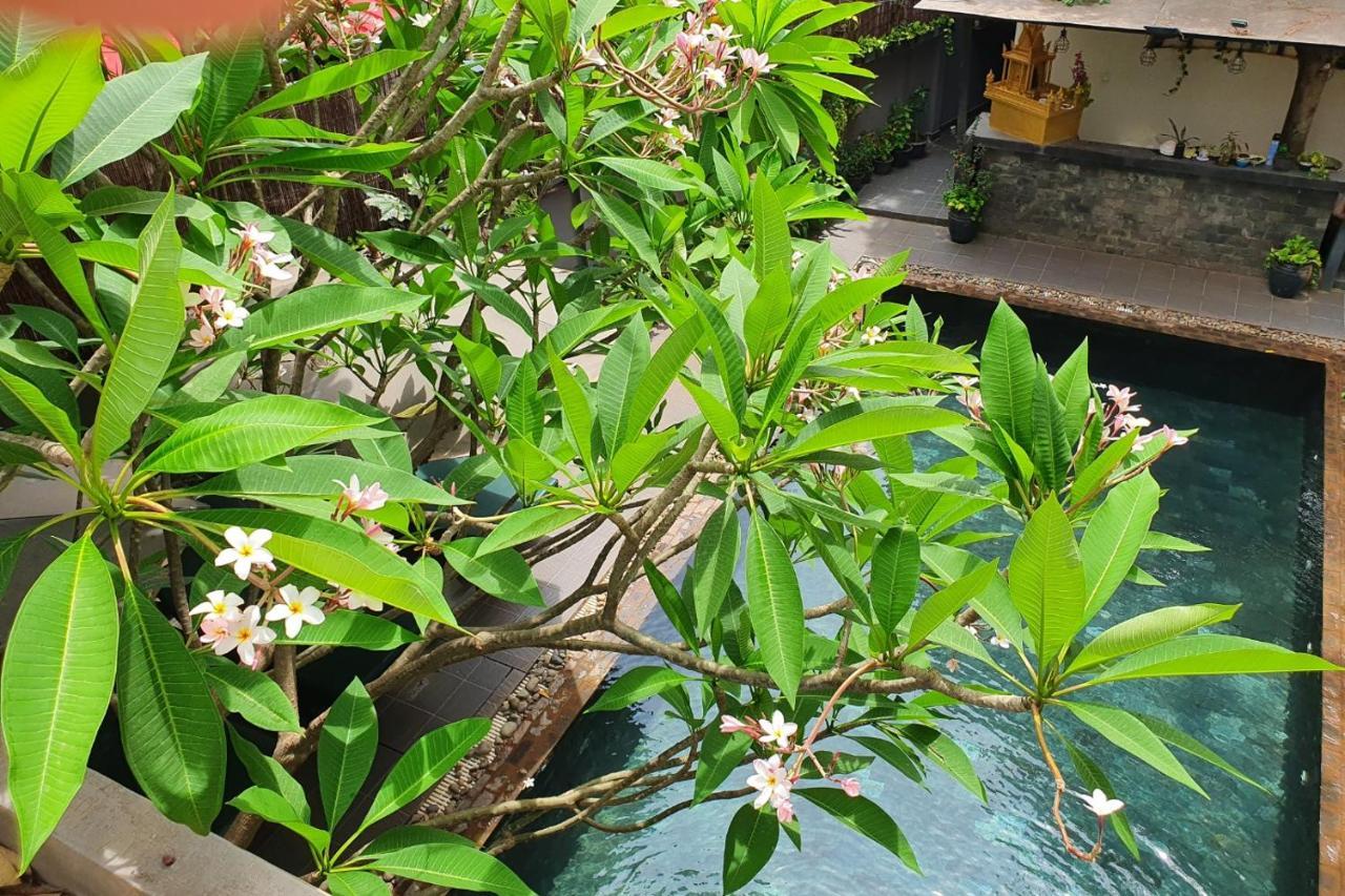 Siem Reap Tevi Residence Exterior photo